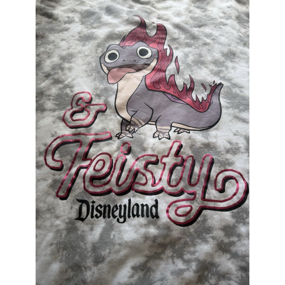 Disney Frozen II Bruni Tie-Dye Sweet & Feisty Disneyland Sweatshirt Extra Large